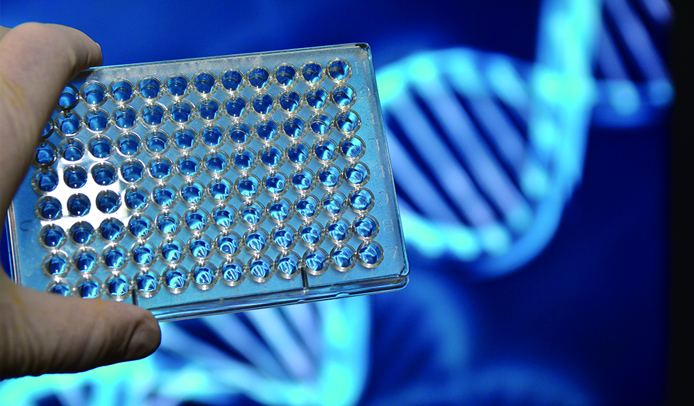 兰州测序分析服务 兰州测序分析服务